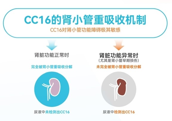 猫CKD研究方向示意图