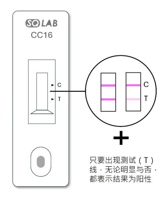 CC16检测盒阳性结果示意图