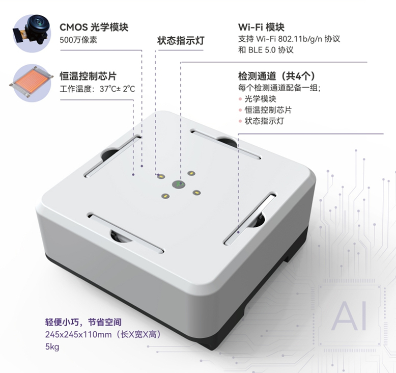 CC16与肾小管早期损伤示意图
