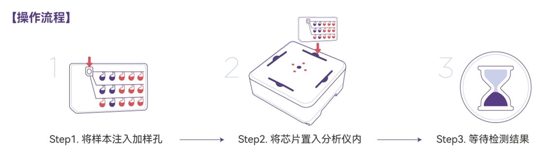 猫CKD研究方向示意图